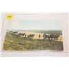 Image 1 : Breaking Land in Canada West Postcard