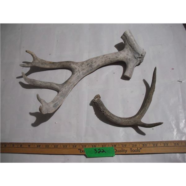 (2) Animal Horn Sheds