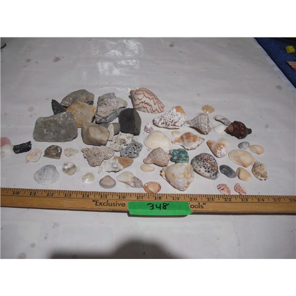 Rock and Sea Shell Collection