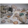 Image 3 : Rock and Sea Shell Collection