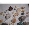 Image 4 : Rock and Sea Shell Collection