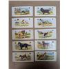 Image 1 : (10) 1929-30s Cowan Dog Picture Cards