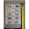 Image 2 : (10) 1929-30s Cowan Dog Picture Cards
