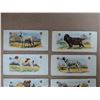 Image 3 : (10) 1929-30s Cowan Dog Picture Cards