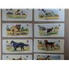 Image 4 : (10) 1929-30s Cowan Dog Picture Cards