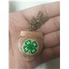 Image 1 : VINTAGE 4H CLUB AMULET C/W CHAIN 1980