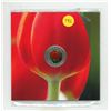 Image 1 : 2011- Tulip with Ladybug - Canada Flora Series