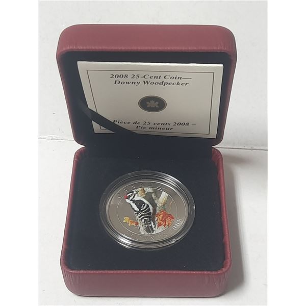 2008- Downey Woodpecker