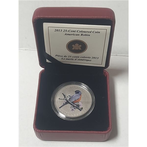 2013- American Robin