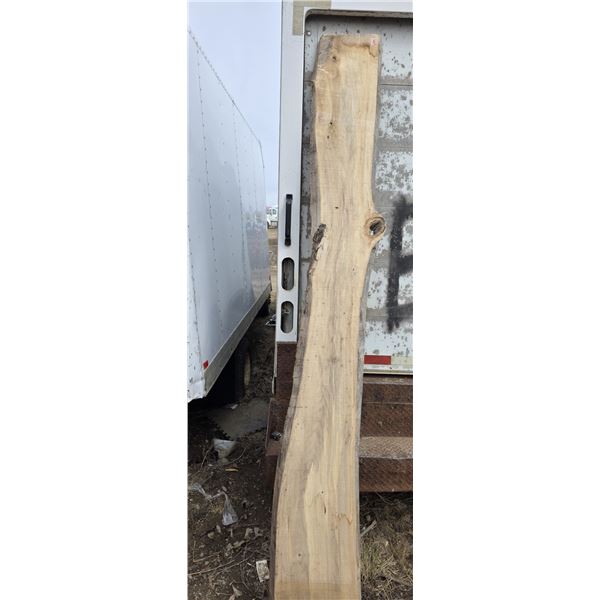 Live edge board- 14" by 9ft height- approx.