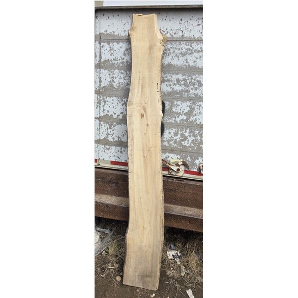 Live edge board- 14" by 9ft height- approx.