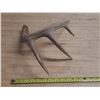 Image 8 : (2) Naturally Shed Deer Antlers.