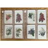 Image 1 : 8 Antique Tobacco Silks Featuring Flower Design.