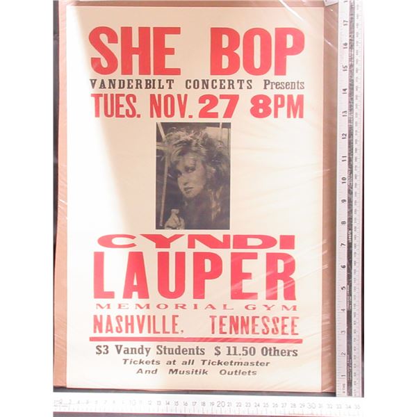 She Bop Concert Poster