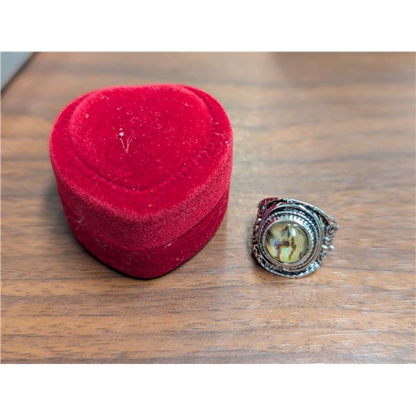 Silver Coloured Size 7 Ring