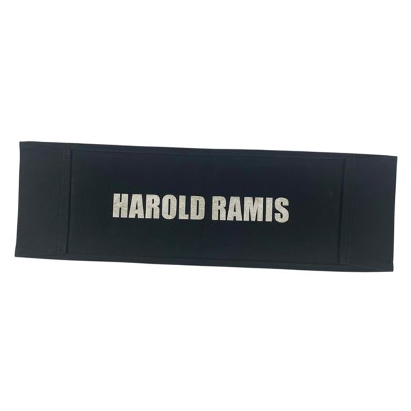 Harold Ramis (1944-2014) - Chairback