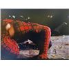 Image 4 : Spider-Man 2 (2004) - Gold Coin Collection