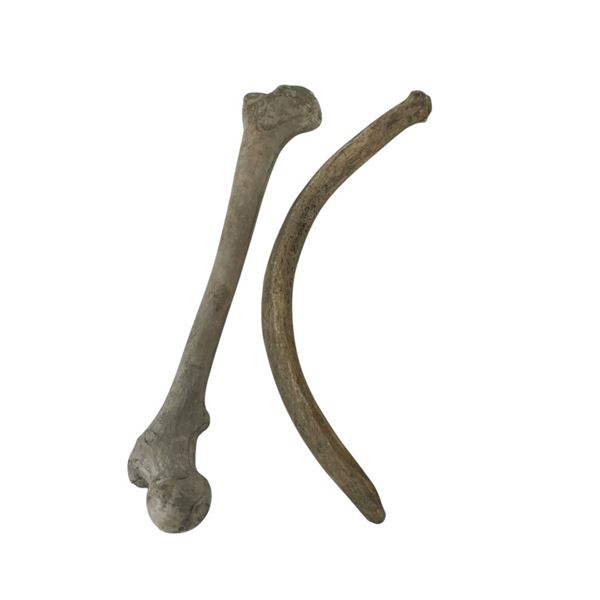 Pirates of the Caribbean: Dead Man's Chest (2006) - Bones from Jack Sparrows Bone Throne Chair