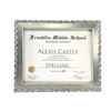 Image 1 : Castle (2009–2016) - Alexis Castle Spelling Bee Champion Award