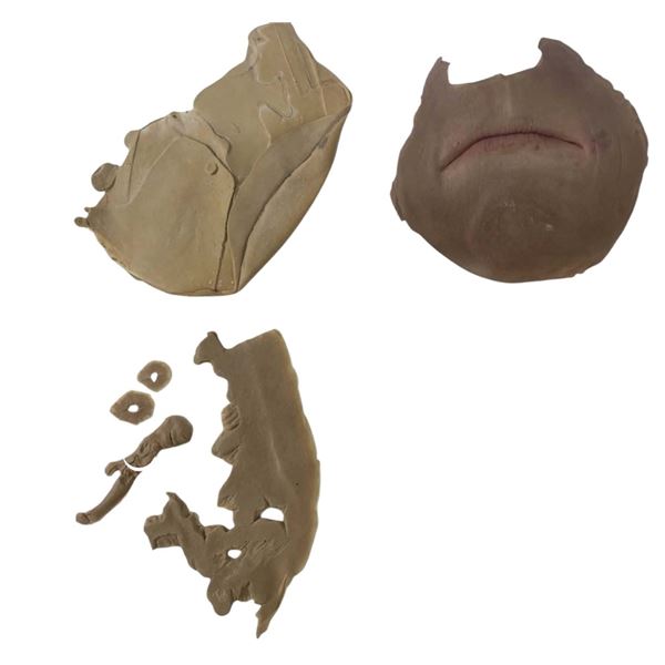 Terminator 2: Judgment Day (1991) - Arnold Schwarzenegger T-800 Makeup Prosthetics