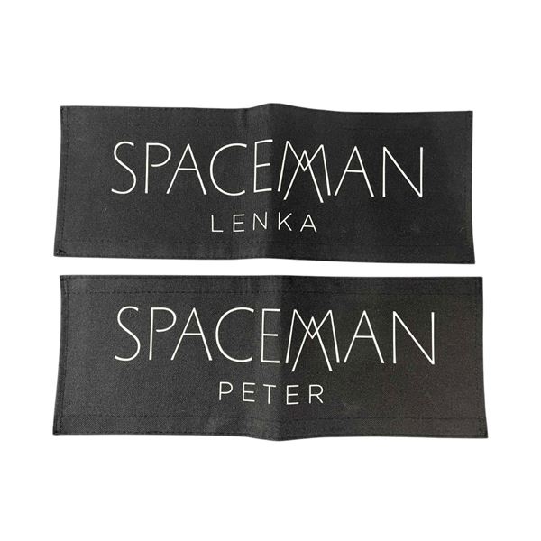 Spaceman (Adam Sandler 2024) - Set of 2 Chairbacks