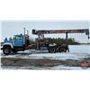Image 12 : CRANE TRUCK : 1979 Ford L9000 with Pitman HL12-68 Crane