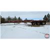 Image 9 : Commercial Trailer : 2000 Scona T O F : Tri-axle Oilfield Float Trailer : 48ft
