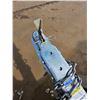 Image 18 : 2007 Sea-Doo RXT