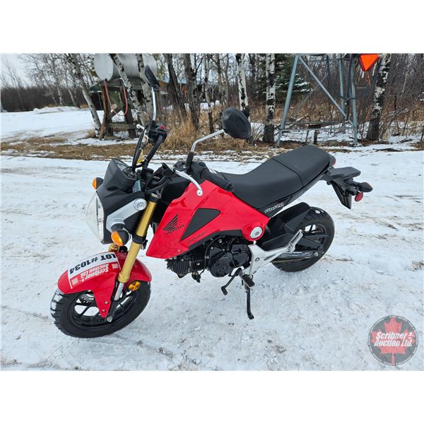 MOTORBIKE : 2014 Honda MSX125 Grom