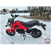 Image 8 : MOTORBIKE : 2014 Honda MSX125 Grom