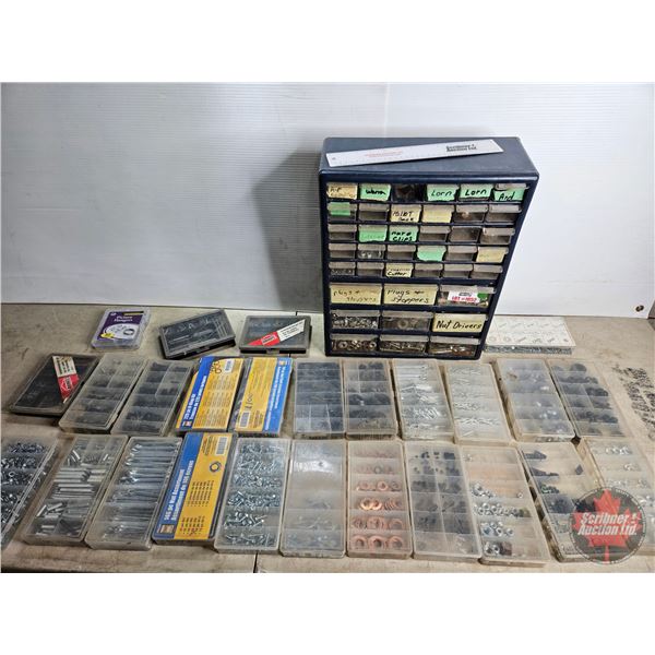 Grouping/Combo: Large Assortment : Pins; Washers; Screws; Stove Bolts; Grommets; Grease Fittings; et