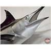 Image 4 : Black Marlin Replica Mount (Fibre Glass) (approx 9ft L)