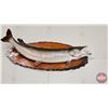 Image 1 : Taxidermy North Pike on Wood Plaque/Mount (42")