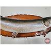 Image 9 : Taxidermy North Pike on Wood Plaque/Mount (42")