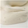 Image 5 : A Wedgwood Glazed Ceramic Sea Lion Figurine by John Skeaping