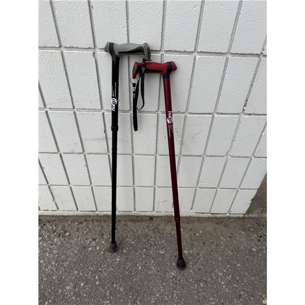 Hugo adjustable walking