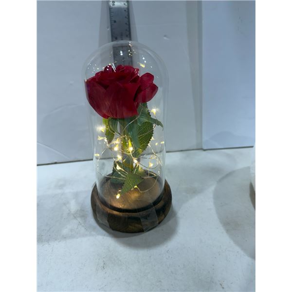 Domed light up, rose decor