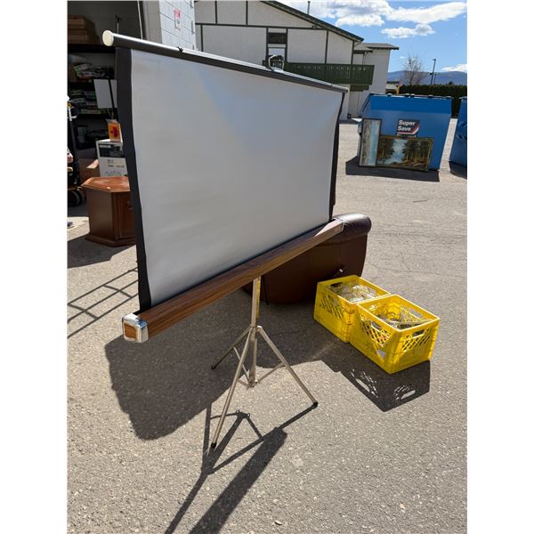 Movie projector screen