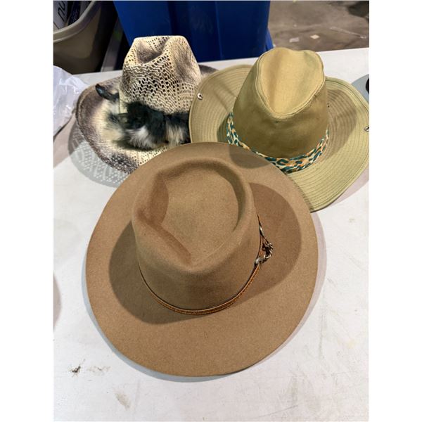 3 hats medium ish