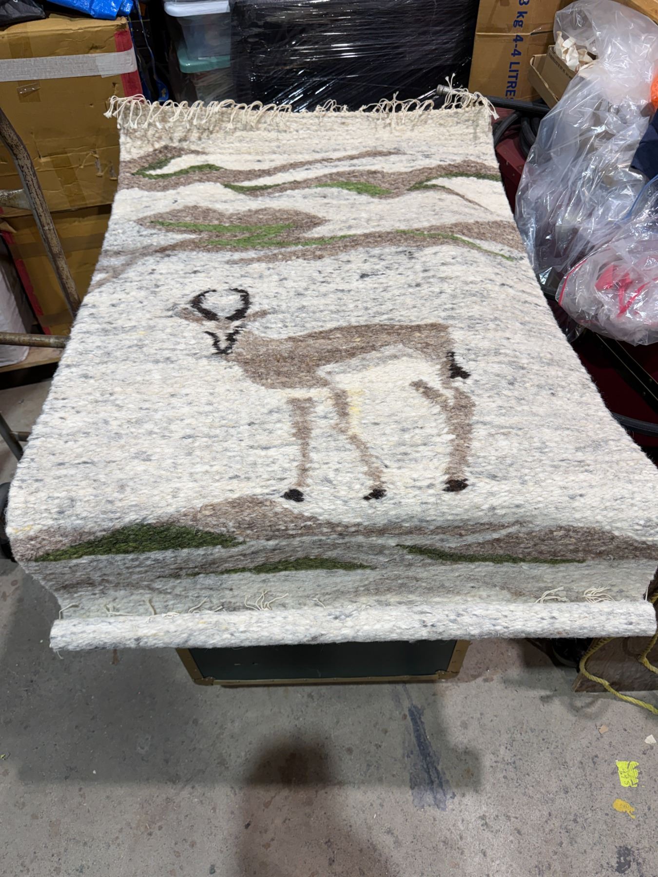 SPRINGBOK rug from NAMIBIA