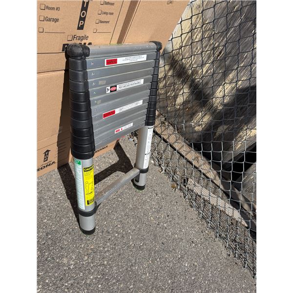 Telescoping ladder 12 foot?