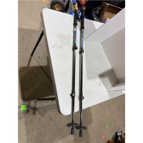 Cascade carbon walking sticks