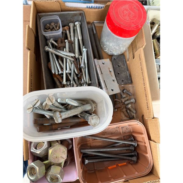 Assorted screws hinges bolts et