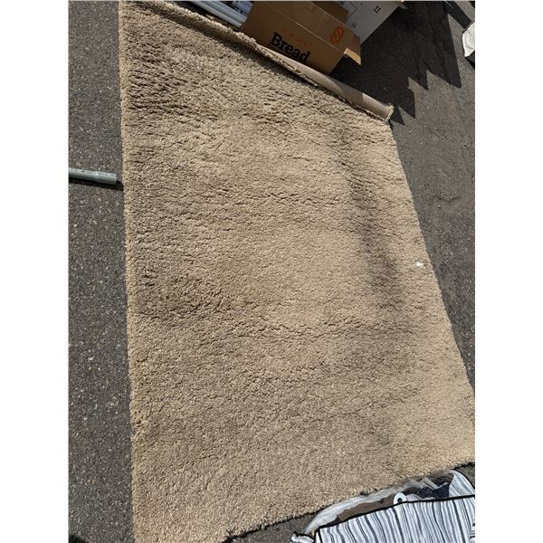 Area carpet 5 x 7