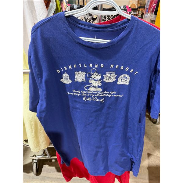 Disneyland resort T-shirt, size large