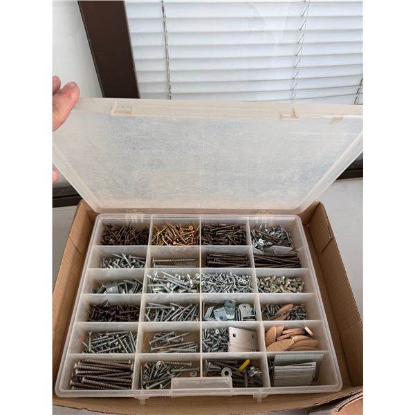 Screw organizer