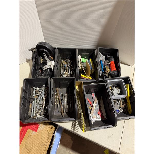 Assorted garage related items with bins
