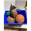 Image 1 : Basketball footballs, etc.