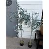 Image 1 : Artificial trees