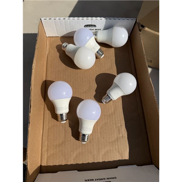 LED lightbulbs